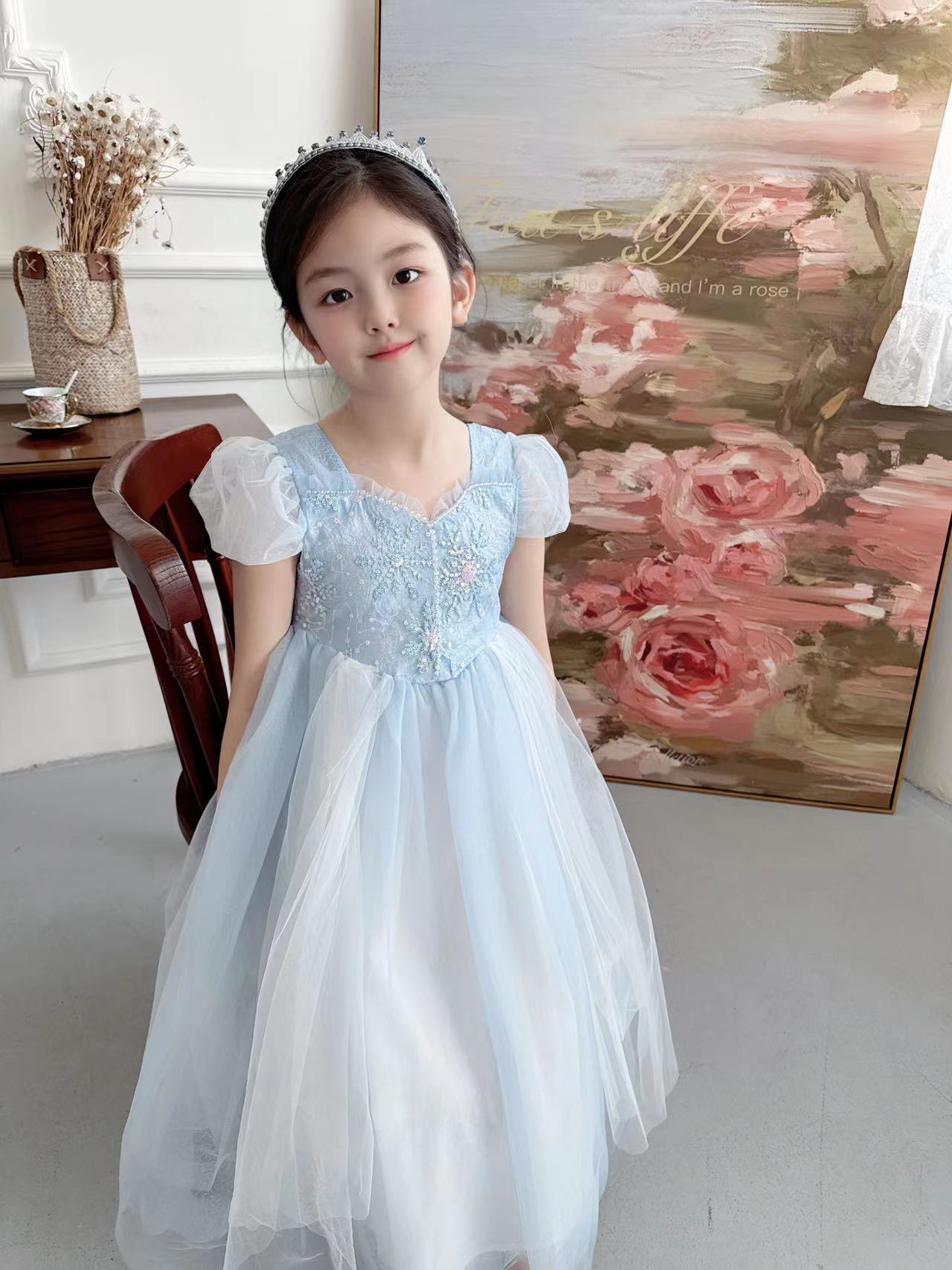 Embroidered Elsa Girls Dress f - đánh giá và giá Baby Clothing Dresser