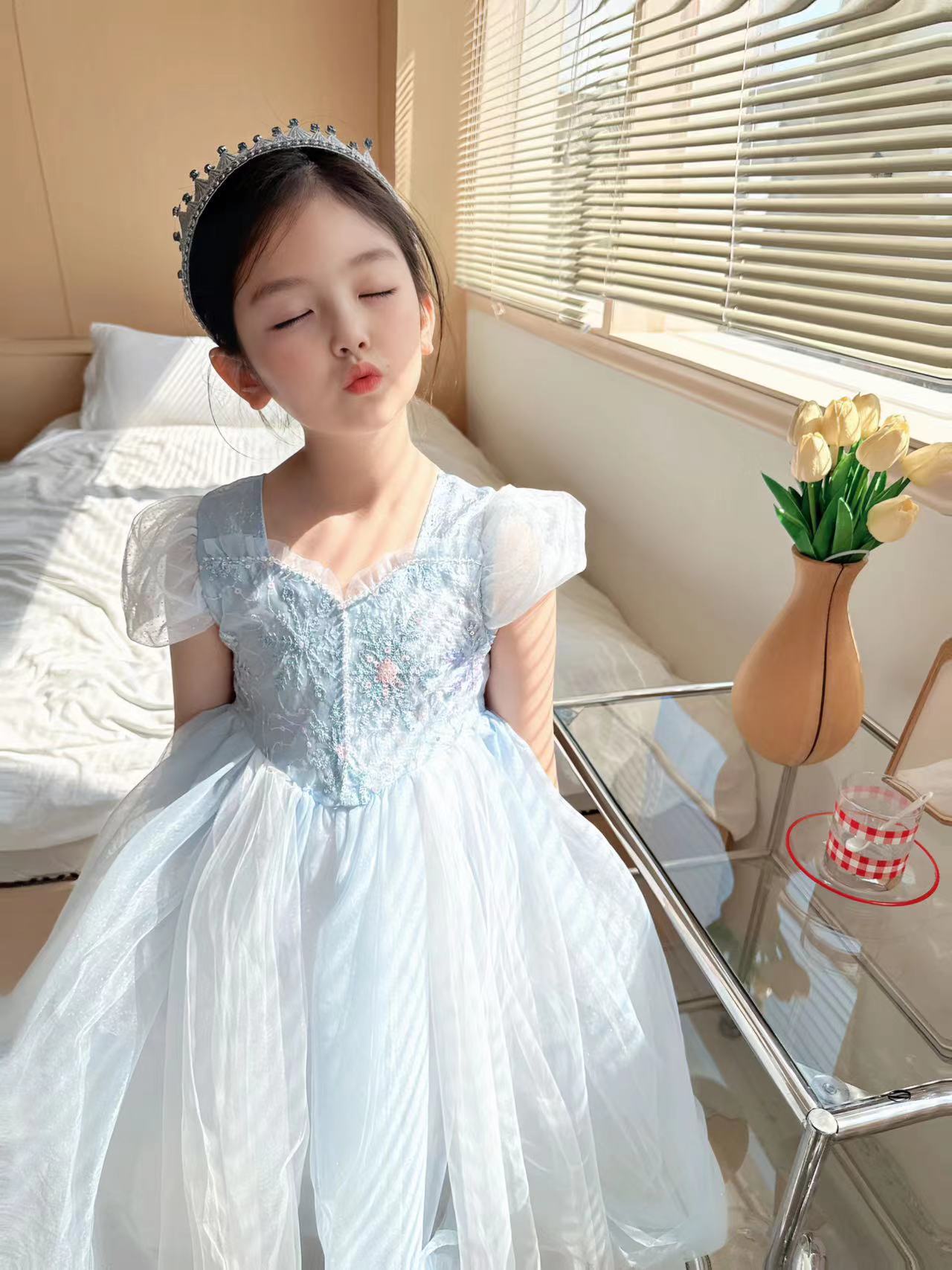 Embroidered Elsa Girls Dress f - đánh giá và giá Baby Clothing Dresser